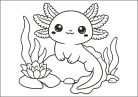 Cuki Axolotl