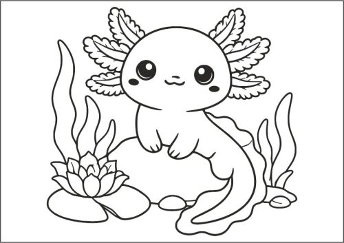 Cuki Axolotl