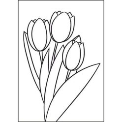 Tulipán csokor (A5 sablon)