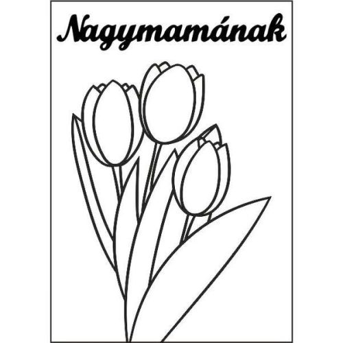 Tulipán csokor Nagymamának