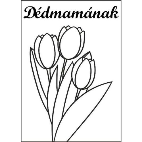 Tulipán csokor Dédmamának