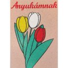 Tulipán csokor Anyukámnak