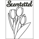 Tulipán csokor szeretettel