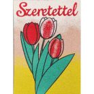 Tulipán csokor szeretettel