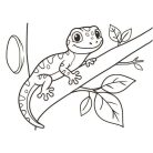 Gekko homokkép