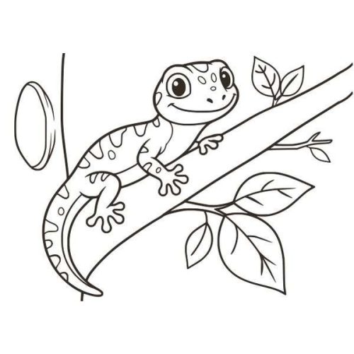 Gekko homokkép