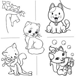 Cicák homokkép csomag (5 kép)