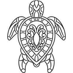 Díszes teknős - L (nagy)